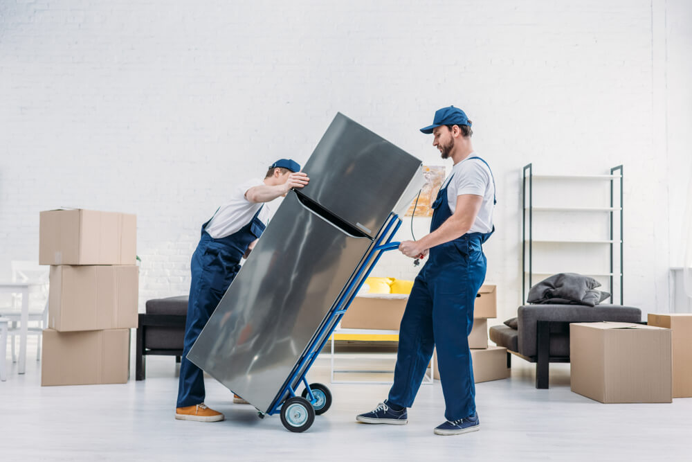 Trustworthy Moving Professionals