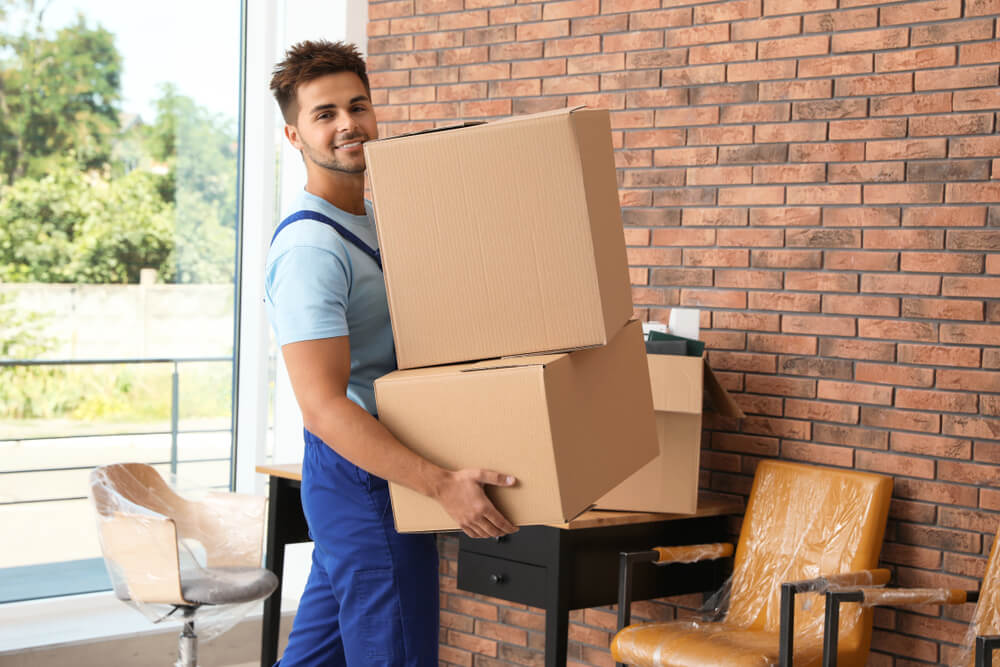 Professional Movers Handling Furniture Plainfield